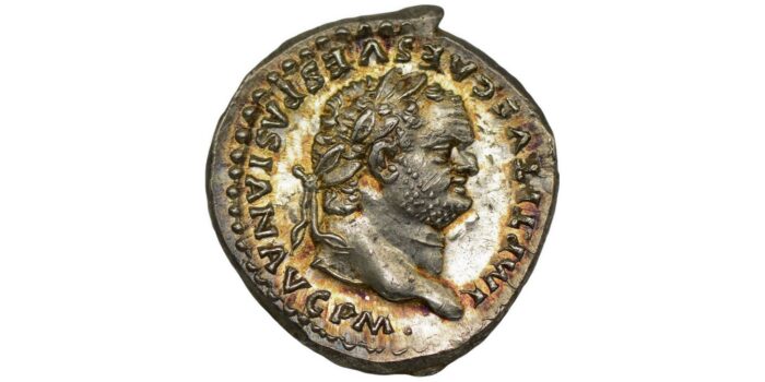 Titus Silver Denarius AD 80